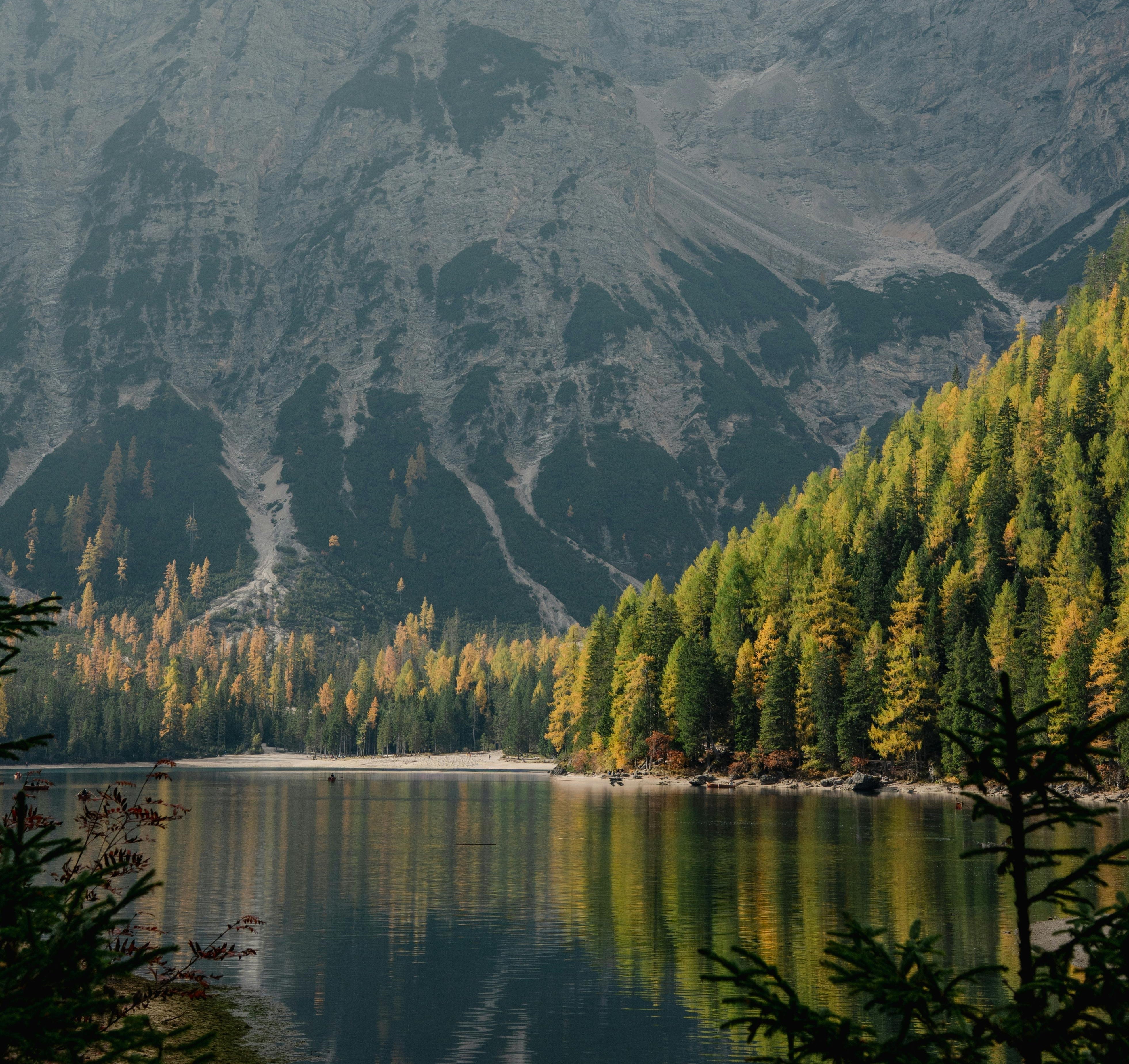 Natural Law in Indigenous Teachings: A Harmony with the Earth and All Beings