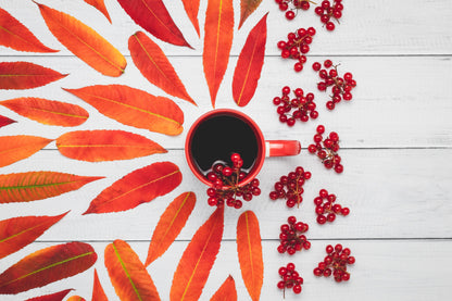 Harmony Hibiscus Spice Tea